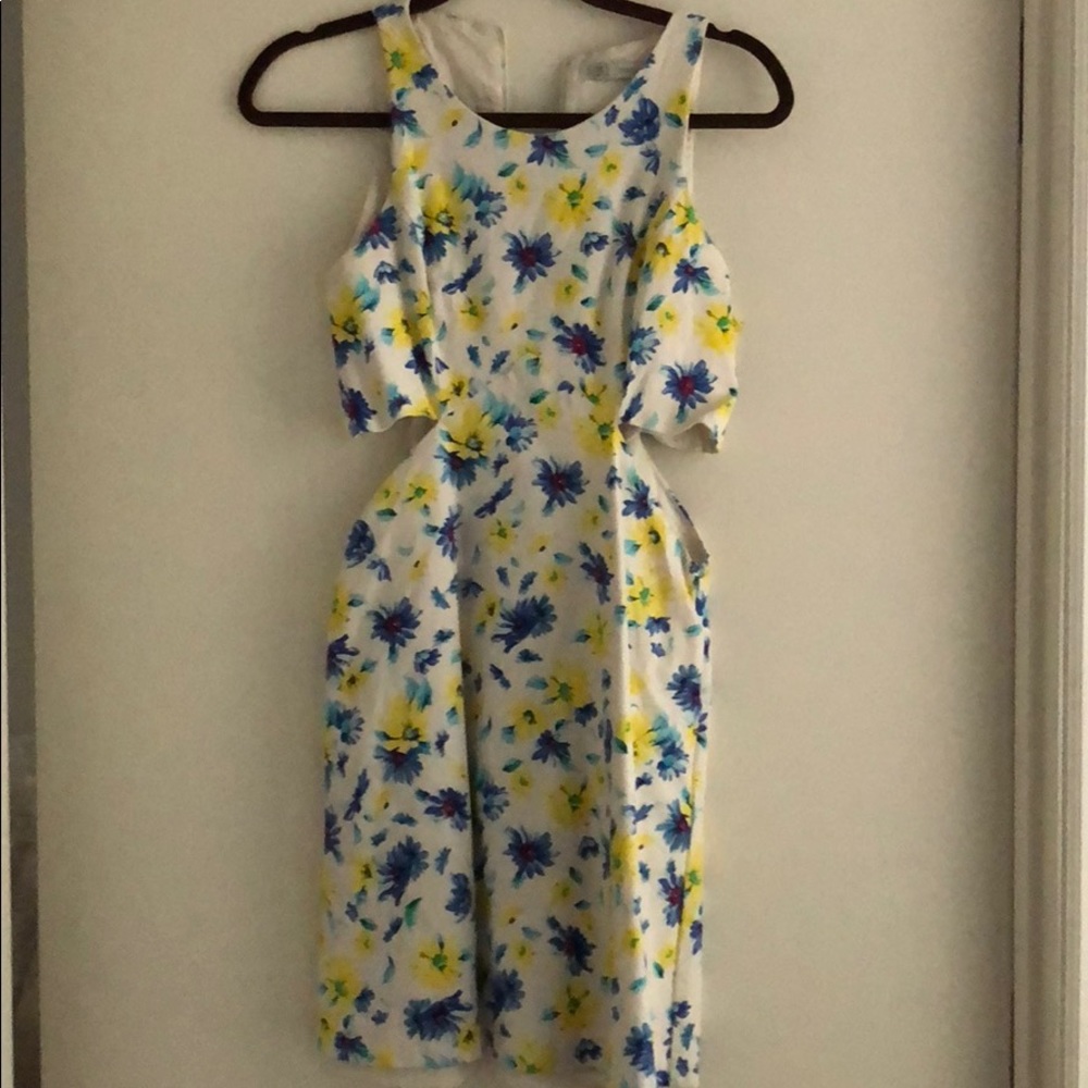 Zara dress